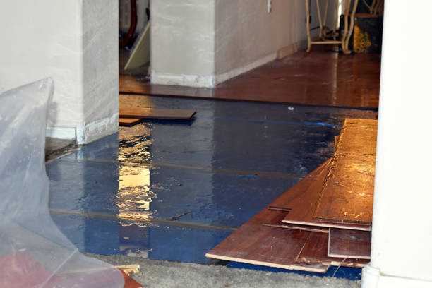 Professional Basement Flood Cleanup technician working in Newaygo, MI